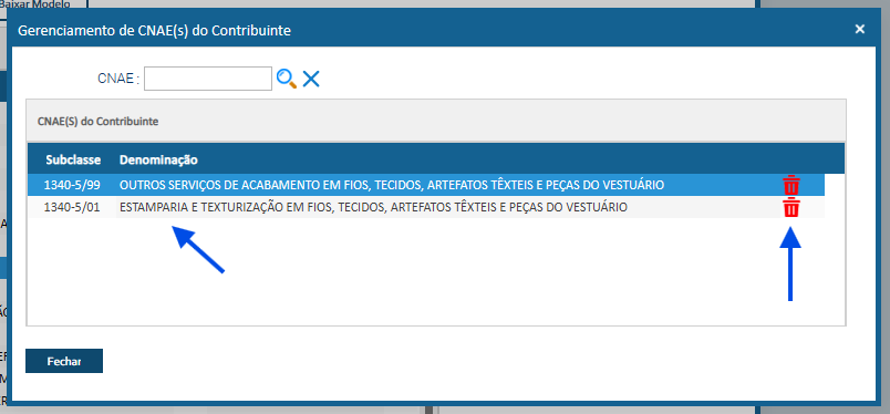 print da janela de lista de CNAEs informados